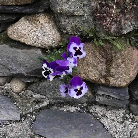 Ferienhaus Saoussat *