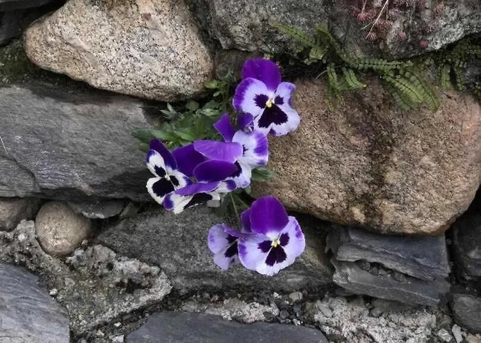 Ferienhaus Saoussat *